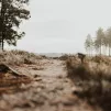 © Unsplash