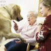 Atelier de zoothérapie avec la chienne Nova, dans la lutte contre la maladie d'Alzheimer, le 8/11/2018. Espace Jeanne Garnier à Paris (75), France. - Photo : Corinne SIMON/CIRIC