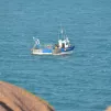 Un bateau en pêche au large de la Bretagne - ©Ronan Le Coz