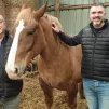 Jean-Jacques et Mathieu Séité, éleveurs de chevaux à Guilers @ Christophe Pluchon, RCF