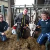 La vache Nephtaline entourée de Chloé, Edouard et Hugo ©RCF Manche