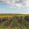 Photo by Árpád Czapp on Unsplash