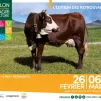 Salon de l'Agriculture de Paris, du 26 février au 6 mars 2022