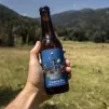 Sylvatica 