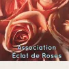 ©Photo Éclats de rose