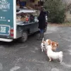 Epicerie ambulante "Lokalité"/ Véronique Macary