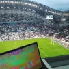 Rencontre Toulon/Toulouse 23e journée du TOP 14 au stade Vélodrome - Nina Pavan
