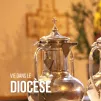 Diocèse de Luçon