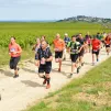 Le Trail de Sancerre © Nicole Gevrey.