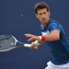 Novak Djokovic en 2018./ Wikimedia Commons