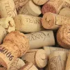 © CCO Domaine public