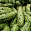 La saison de la courgette c'est maintenant !