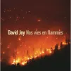 Nos vies en flamme (Joy - Sonatine)