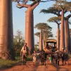 La famille Poussin lors de leur voyage à Madagascar / Alexandre Poussin