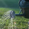 Des restrictions en plus pour l'arrosage dans la vallée de l'Estéron. Les potagers devront rester à sec. Photo by David Ballew on Unsplash