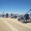 4 hippocampes sont mis à disposition sur la plage de Marseille