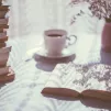 lecture de l'été - © Freestocks via Unsplash