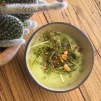 2022 - ©Le 101 - Gaspacho courgette concombre coco