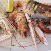 Locmiquélic fêtera les langoustines ce week-end. Pixabay.