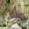 Le parc Floral d'Apremont-sur-Allier. © Facebook Officiel.