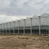 A Lasse, quatre hectares de serres de tomates sont chauffées grâce à l'incinérateur de déchets. ©RCF Anjou