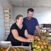 Aux Vergers d'Aulaines, Fabienne et Vincent ont déjà commencé la cueillette !