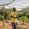 © Roberta Valério  / CCFD-Terre solidaire