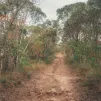 ©Pexels - L'Amazonie sous la menace d'une déforestation irréversible - Image d'illustration 