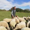 Laurent, éleveur ovin à Coulans sur Gée