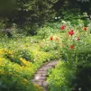 jardin - © Morgane Le Breton via Unsplash