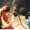 Wikipédia - Contact entre un enfant et un cheval