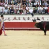 Le matador Sébastien Castella durant la féria de Béziers (Hérault) en 2015 © Mehdi Chebil/Hans Lucas  