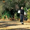 Les cisterciens de l’abbaye de Lérins sont connus pour leurs vins d'exception - Photo Divine Box 