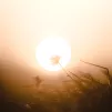 image d'illustration (soleil) - © Mathieu Bigard via Unsplash