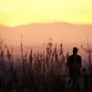 DR 