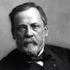 Louis Pasteur photographié par Nadar ©Wikimédia commons