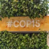 ©  David Himbert - Hans Lucas / Conférence des Nations Unies sur la biodiversité (COP15) au Palais des Congres de Montréal à Montréal, Québec, Canada, le 19 décembre 2022.