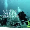 Ecocéan oeuvre depuis 20 ans pour repeupler les océans ©Ecocean