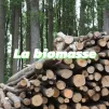 La biomasse