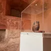 ©Facebook musée de l'Abbaye