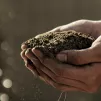 En agriculture bio, on est capables de stocker plus de carbone qu’on en émet ©Unsplash