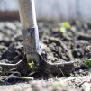 L'autoproduction alimentaire
