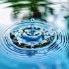 Le 4 mars à 20h30, le récital poétique sera suivi d'une conférence sur le manque d'eau. Photo de <a href="https://unsplash.com/@photohunter?utm_source=unsplash&utm_medium=referral&utm_content=creditCopyText">Jimmy  Chang</a> sur <a href="https://unsplash.com/fr/photos/NP8gd2KUnfw?utm_source=unsplash&utm_medium=referral&utm_content=creditCopyText">Unsplash</a> 