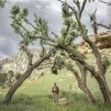 Photo tirée de la série « Light Between Mountains » © Emily Garthwaite 