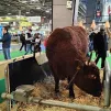 Le malaise agricole, aussi au programme du Salon de l'Agriculture - ©Radio RCF 