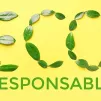 éco responsabilité