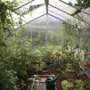 potager - © Zanda Photography via Unsplash