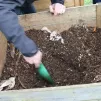 Compost