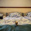 La fin de la trêve hivernale touche à la fois des personnes sans domicile, mais aussi des personnes fragilisées dans leur logement ©Secours catholique