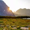 Dans la pensée chrétienne, concevoir l’environnement avec le spectre de la résurrection, c’est s’engager pour le protéger ©Unsplash